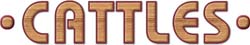 Experts in door glazing bead frames